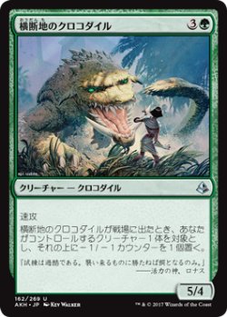 画像1: 横断地のクロコダイル/Crocodile of the Crossing (AKH)