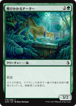 画像1: 飛びかかるチーター/Pouncing Cheetah (AKH)