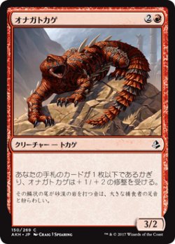 画像1: オナガトカゲ/Thresher Lizard (AKH)