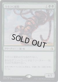 うろつく蛇豹/Prowling Serpopard (Prerelease Card)