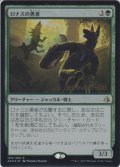 ロナスの勇者/Champion of Rhonas (Prerelease Card)