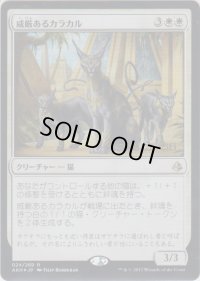 威厳あるカラカル/Regal Caracal (Prerelease Card)