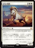冠毛の陽馬/Crested Sunmare (HOU)