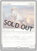冠毛の陽馬/Crested Sunmare (HOU)