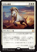 冠毛の陽馬/Crested Sunmare (HOU)