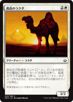 画像1: 孤高のラクダ/Solitary Camel (HOU)