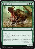 猛り狂うカバ/Rampaging Hippo (HOU)