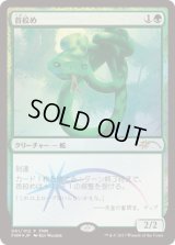 首絞め/Noose Constrictor (FNM)