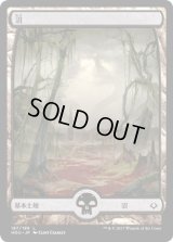 沼/Swamp (HOU)