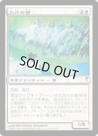欠片の壁/Wall of Shards (CSP)