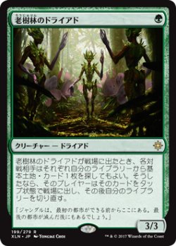 画像1: 老樹林のドライアド/Old-Growth Dryads (XLN) (Prerelease Card)