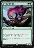 切り裂き顎の猛竜/Ripjaw Raptor (XLN)