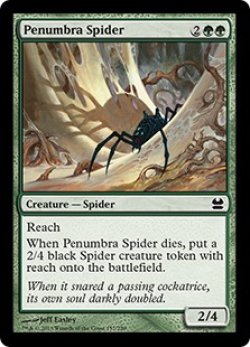 画像1: 暗影の蜘蛛/Penumbra Spider (MMA)