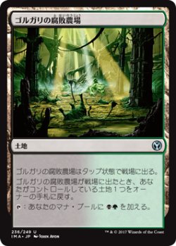 画像1: ゴルガリの腐敗農場/Golgari Rot Farm (IMA)