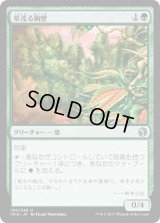 草茂る胸壁/Overgrown Battlement (IMA)