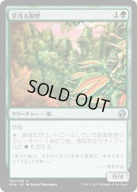 草茂る胸壁/Overgrown Battlement (IMA)
