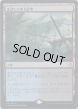 水没した地下墓地/Drowned Catacomb (Prerelease Card)