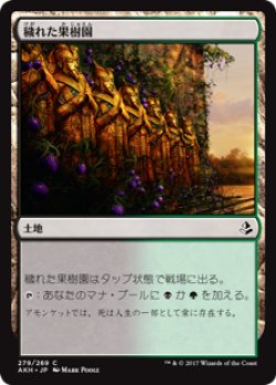 画像1: 穢れた果樹園/Foul Orchard (AKH)