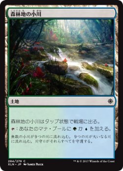 画像1: 森林地の小川/Woodland Stream (XLN)