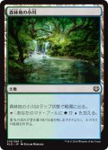 森林地の小川/Woodland Stream (KLD)