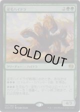逆毛ハイドラ/Bristling Hydra (Prerelease Card)