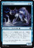 霜のオオヤマネコ/Frost Lynx (IMA)