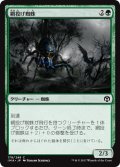 網投げ蜘蛛/Netcaster Spider (IMA)