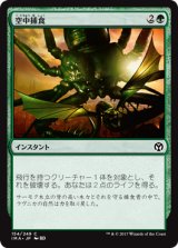 空中捕食/Aerial Predation (IMA)