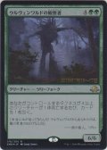 ウルヴェンワルドの観察者/Ulvenwald Observer (Prerelease Card)