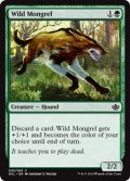 野生の雑種犬/Wild Mongrel(GVL)