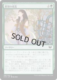 原初の成長/Primal Growth (C15)