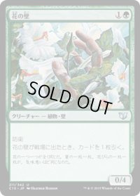 花の壁/Wall of Blossoms (C15)