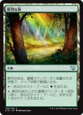 鮮烈な林/Vivid Grove (C15)