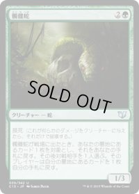 髑髏蛇/Skullwinder (C15)