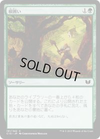 根囲い/Mulch (C15)