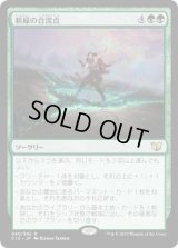 新緑の合流点/Verdant Confluence (C15)