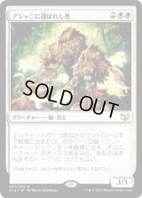 アジャニに選ばれし者/Ajani's Chosen (C15)