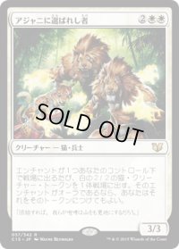 アジャニに選ばれし者/Ajani's Chosen (C15)