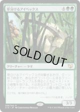 草分けるアイベックス/Pathbreaker Ibex (C15)