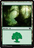 森/Forest 【Ver.4】 (C15)