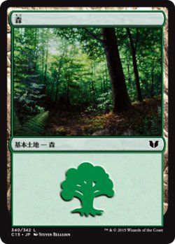 画像1: 森/Forest 【Ver.2】 (C15)