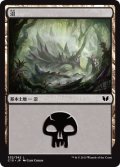 沼/Swamp 【Ver.2】 (C15)