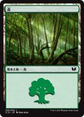 森/Forest 【Ver.1】 (C15)