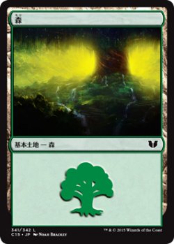 画像1: 森/Forest 【Ver.3】 (C15)