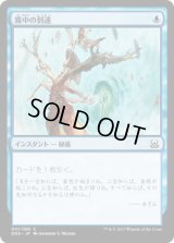 霧中の到達/Reach Through Mists (DDS)