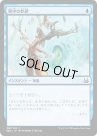 霧中の到達/Reach Through Mists (DDS)