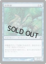 休賢者/Fallowsage (LRW)《Foil》