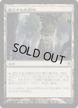 進化する未開地/Evolving Wilds (ROE)《Foil》