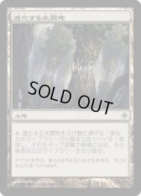 進化する未開地/Evolving Wilds (ROE)《Foil》