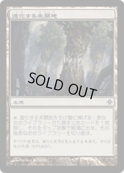 画像1: 進化する未開地/Evolving Wilds (ROE)《Foil》